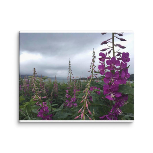 Fireweed Canvas